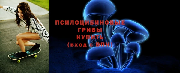 метадон Магас
