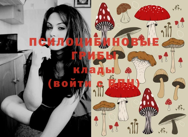 прущий лед Майский