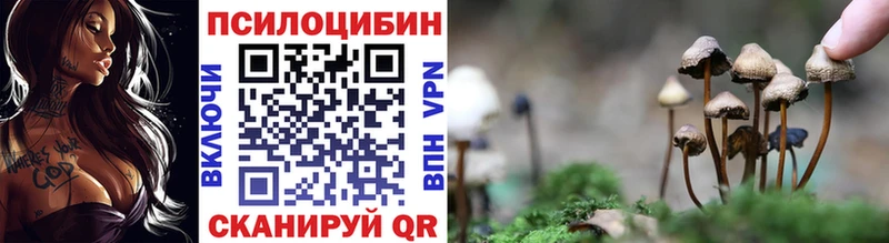 блэк спрут рабочий сайт  Югорск  Псилоцибиновые грибы ЛСД 